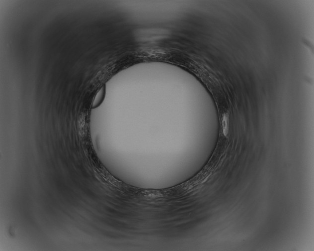 X0000096651395200802050923