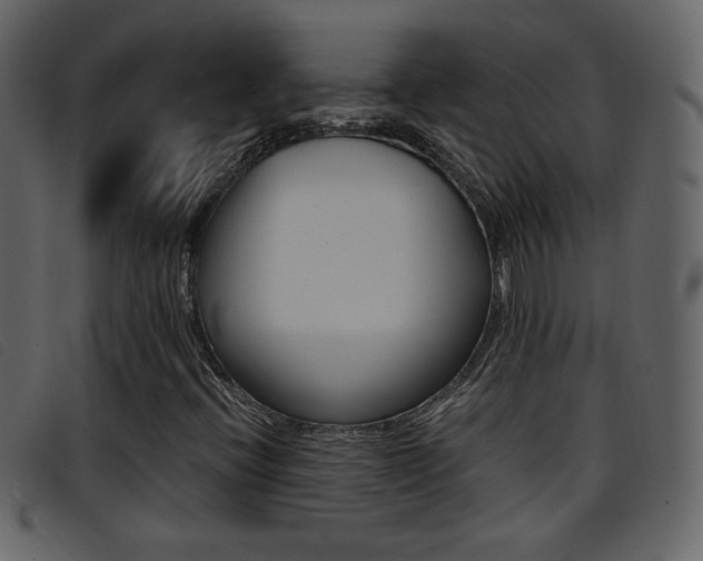 X0000096651396200802050923