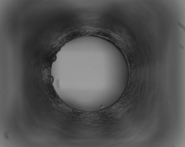 X0000096651397200802050923