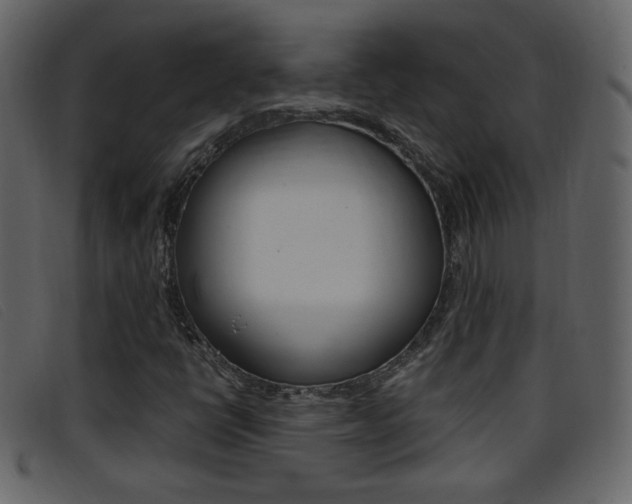 X0000096651398200802050923