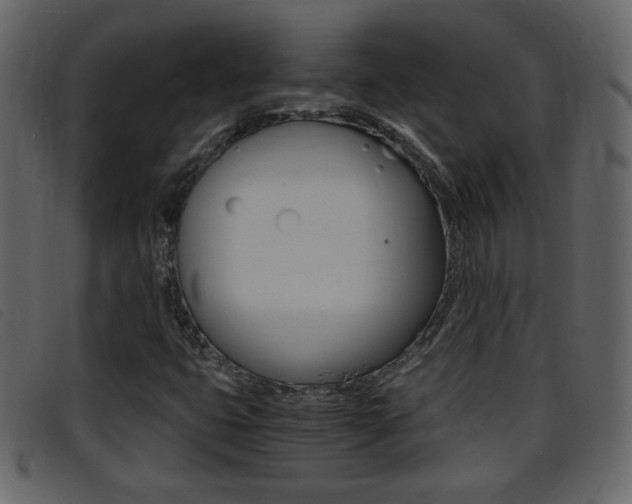 X0000096651399200802050923