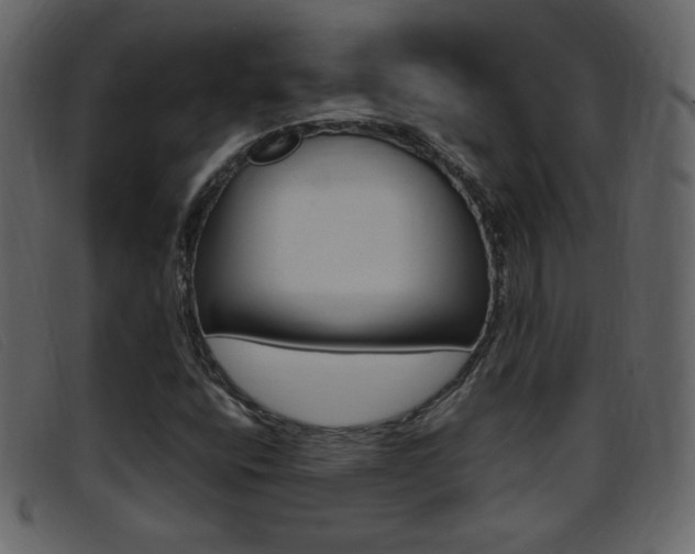 X0000096651400200802050923