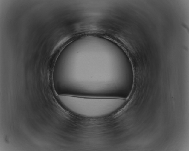 X0000096651402200802050923