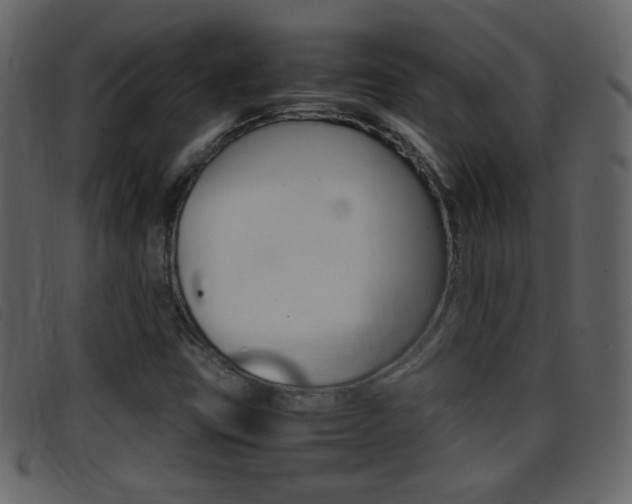 X0000096651403200802050923