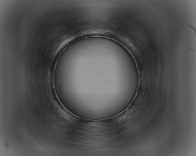 X0000096651404200802050923