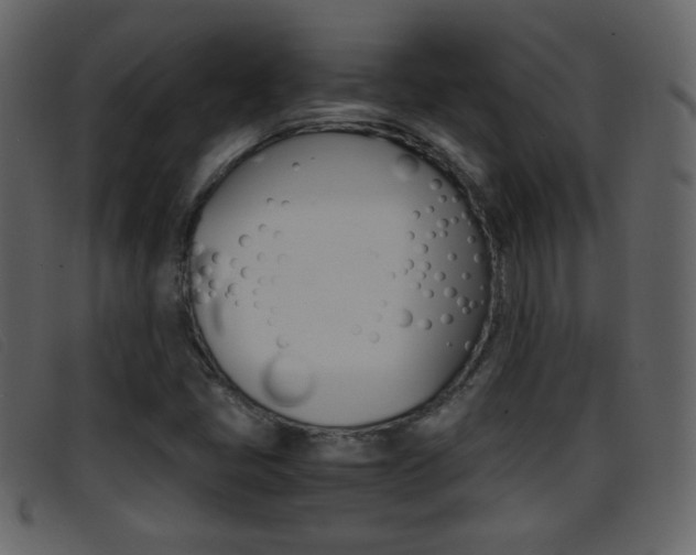 X0000096651405200802050923