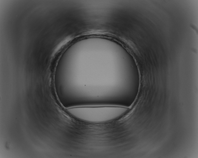 X0000096651406200802050923