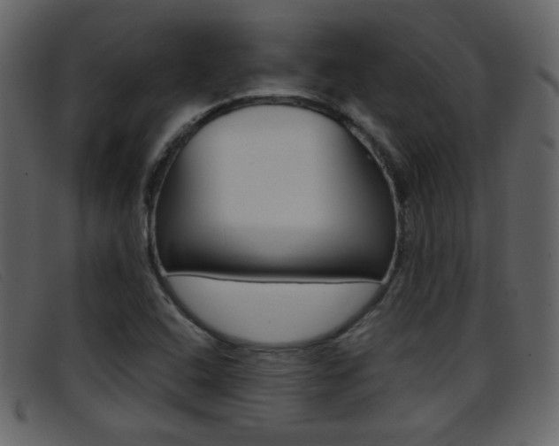 X0000096651408200802050924
