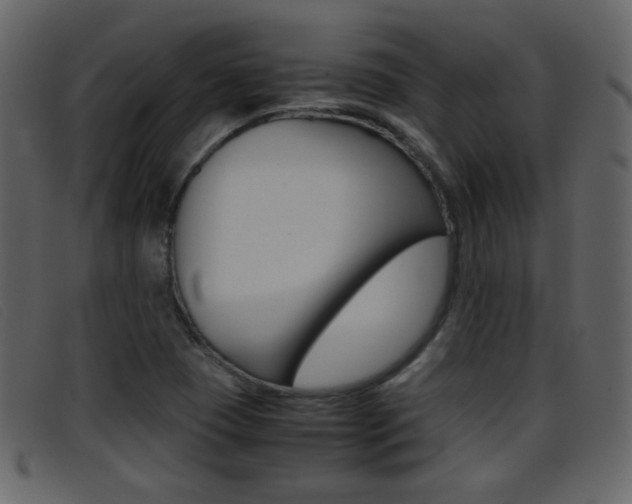 X0000096651409200802050924