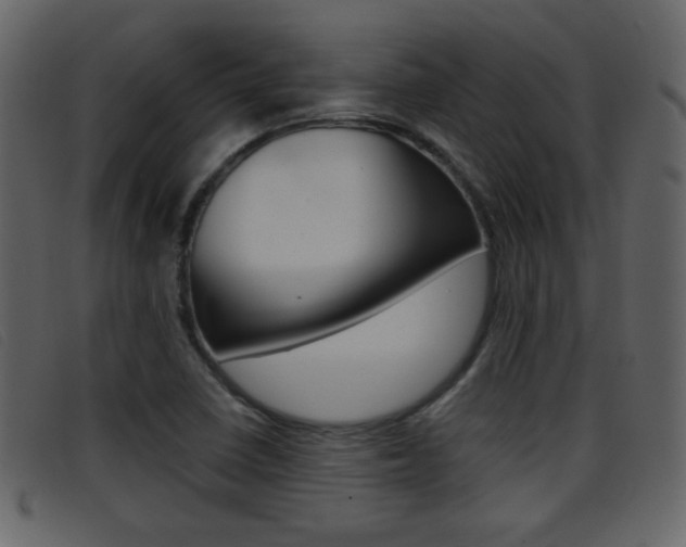 X0000096651410200802050924