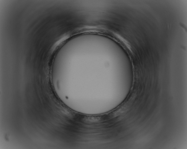X0000096651411200802050924