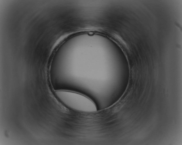 X0000096651412200802050924