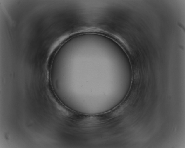 X0000096651414200802050924