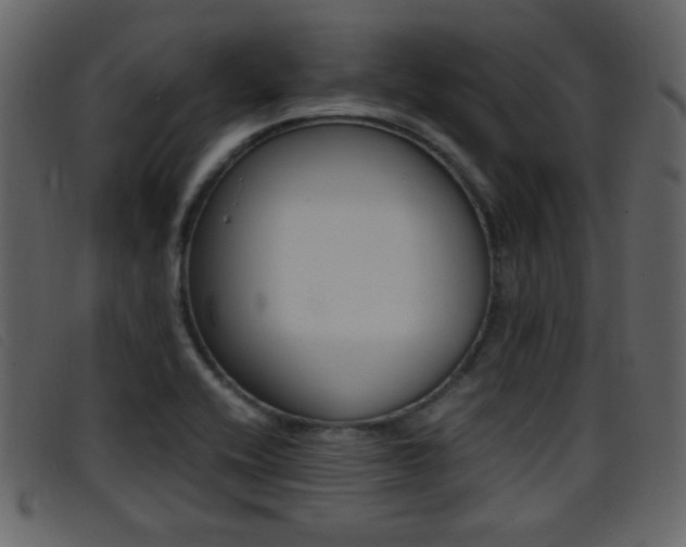 X0000096651416200802050924
