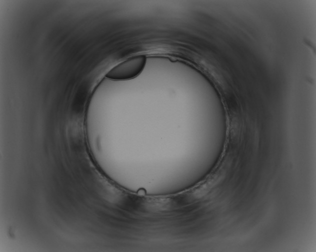 X0000096651417200802050924
