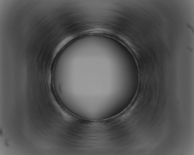 X0000096651418200802050924