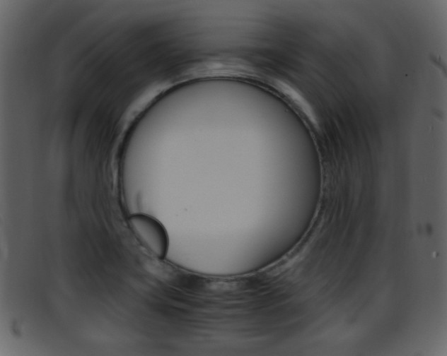X0000096651419200802050924