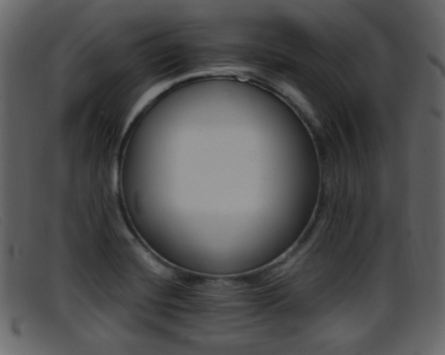 X0000096651420200802050924