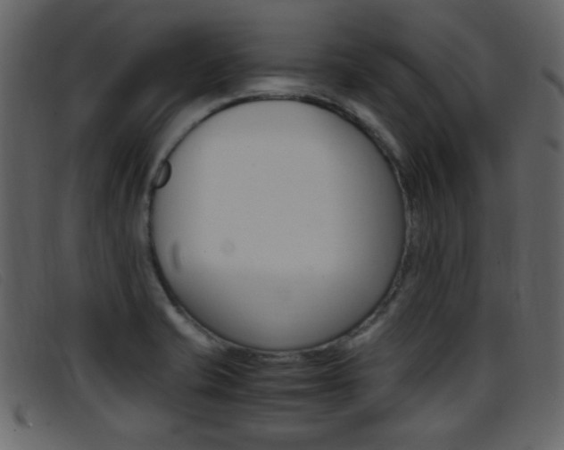 X0000096651421200802050924
