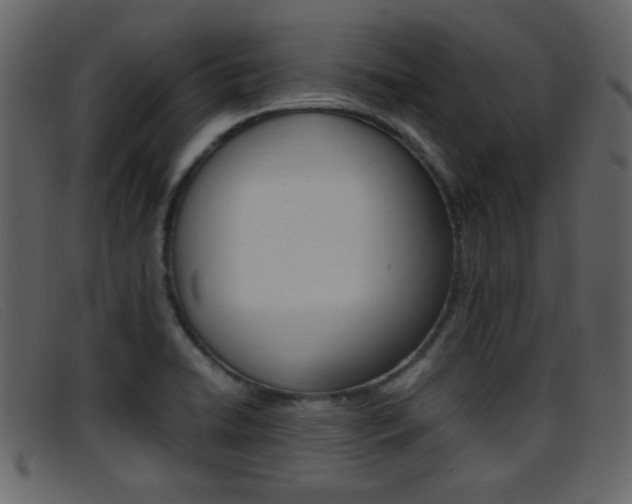 X0000096651422200802050924