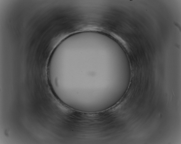 X0000096651423200802050924