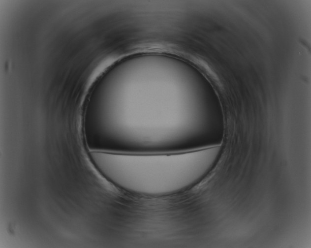 X0000096651424200802050924