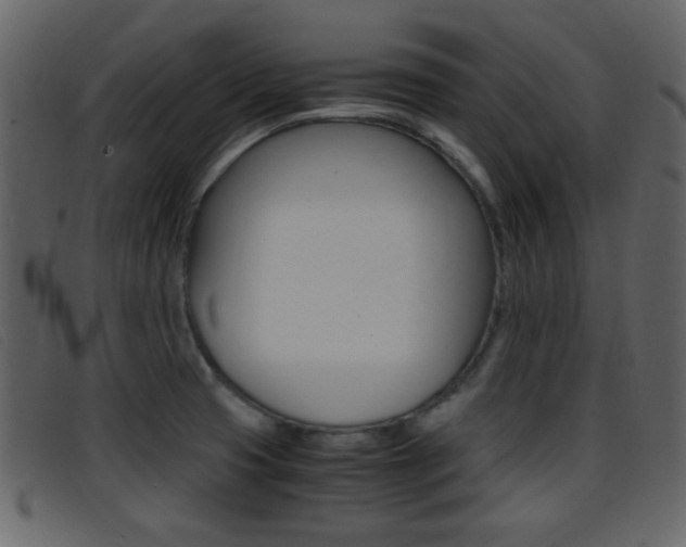 X0000096651425200802050924