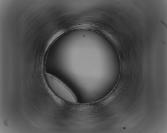 X0000096651426200802050924