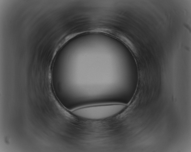 X0000096651428200802050924