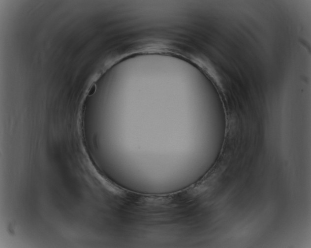 X0000096651429200802050924