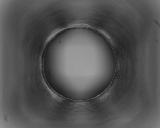 X0000096651430200802050924