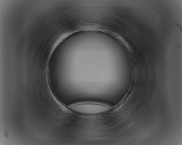 X0000096651432200802050924