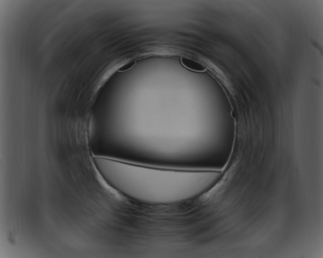 X0000096651433200802050924