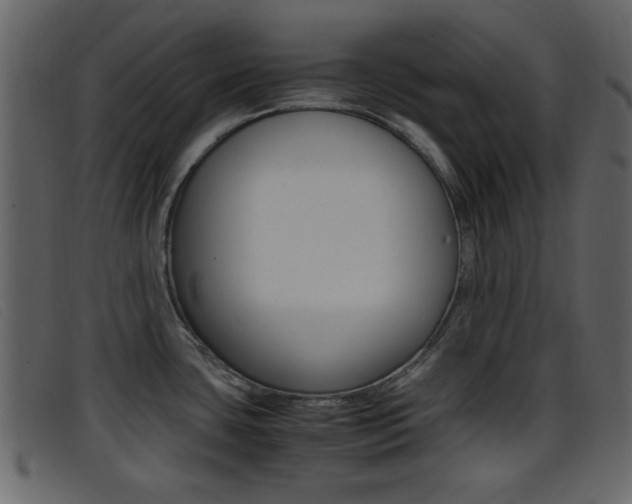 X0000096651435200802050924