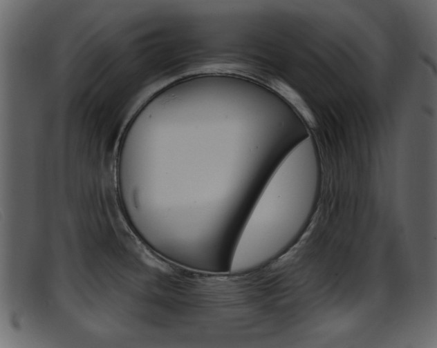 X0000096651436200802050924