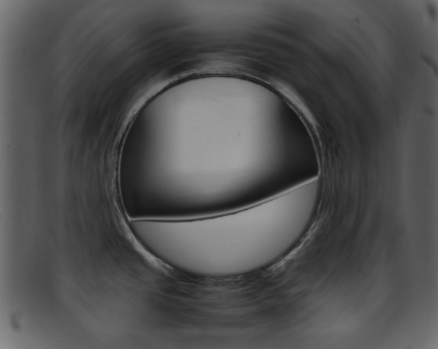X0000096651437200802050924