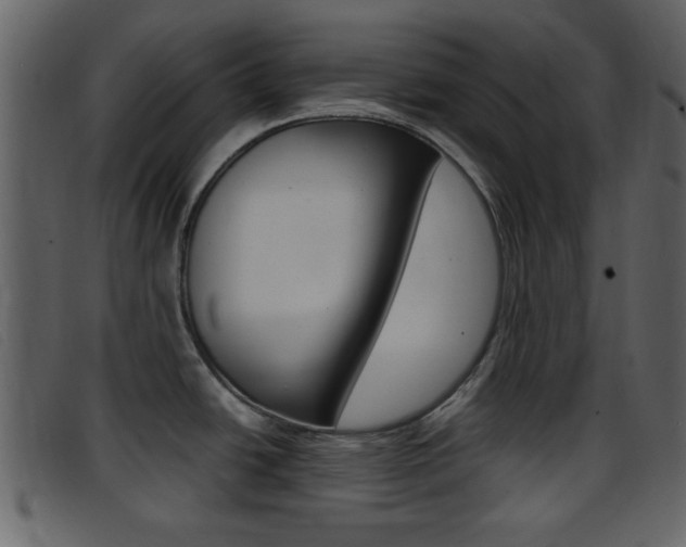 X0000096651438200802050924