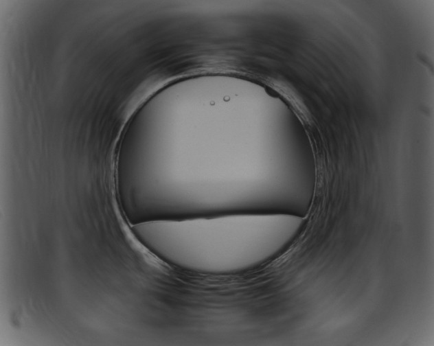 X0000096651439200802050924