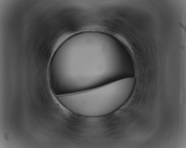X0000096651440200802050924