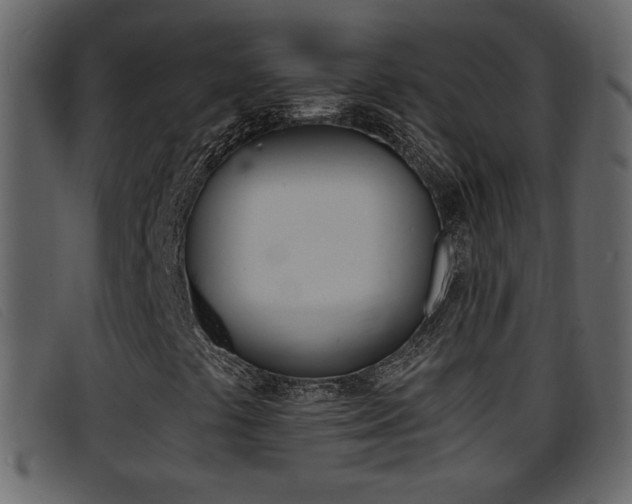 X0000096651441200802050923