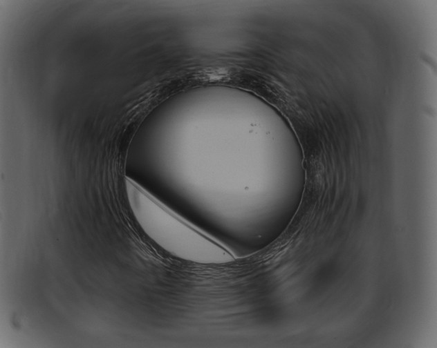 X0000096651442200802050923