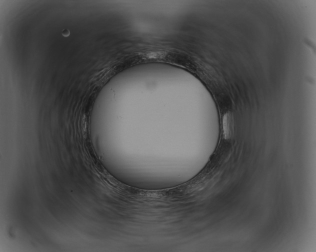 X0000096651443200802050923