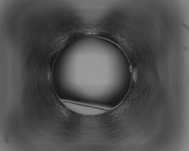 X0000096651444200802050923