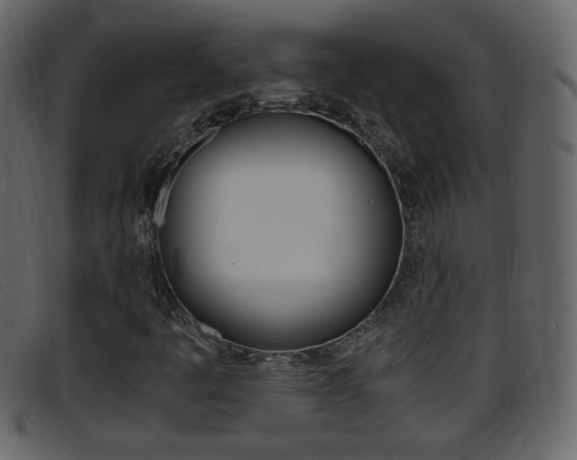 X0000096651445200802050923