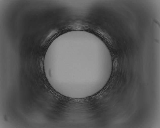 X0000096651446200802050923