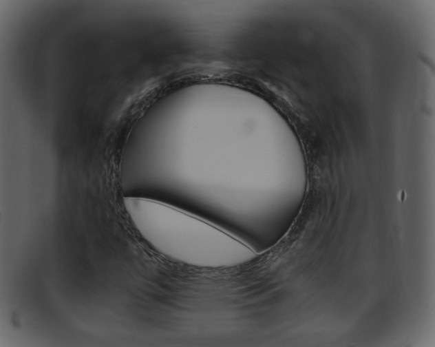 X0000096651447200802050923