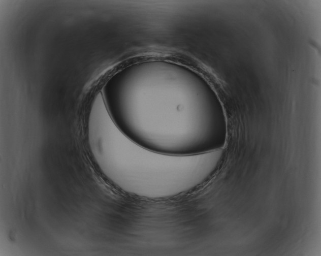 X0000096651448200802050923