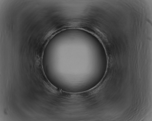 X0000096651449200802050923