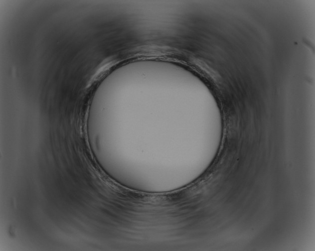 X0000096651451200802050923