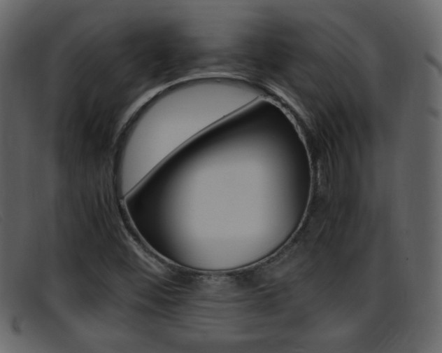 X0000096651452200802050923